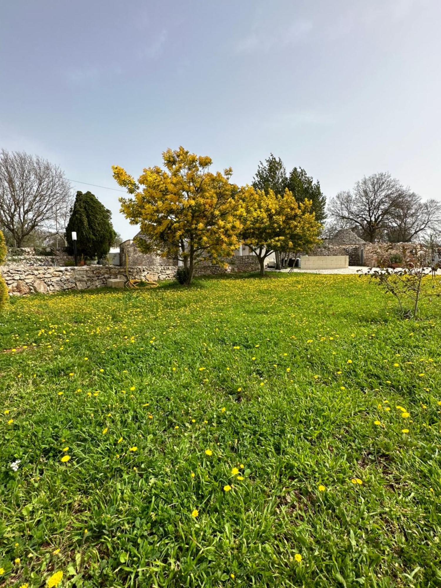 Trulli In Contrada Villa Noci Eksteriør billede